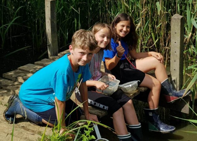 Abschlussgrillen der Klasse 4b im Biologiezentrum Bustedt